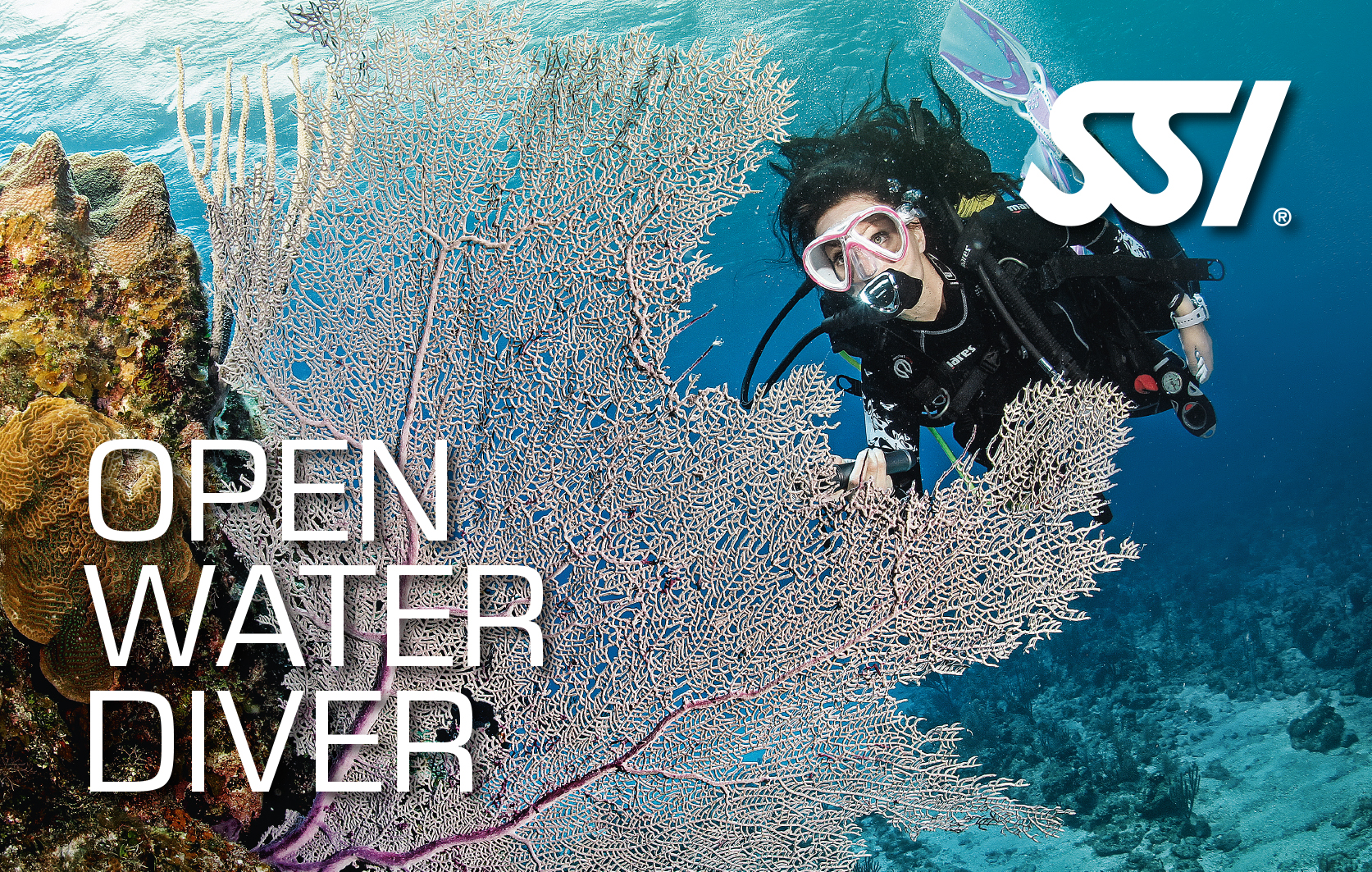 open water divers abramar buceo