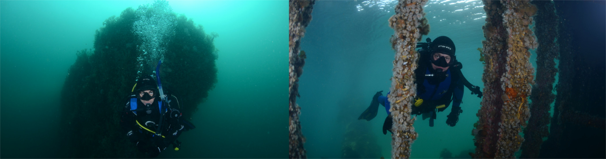 diving sites abramar buceo