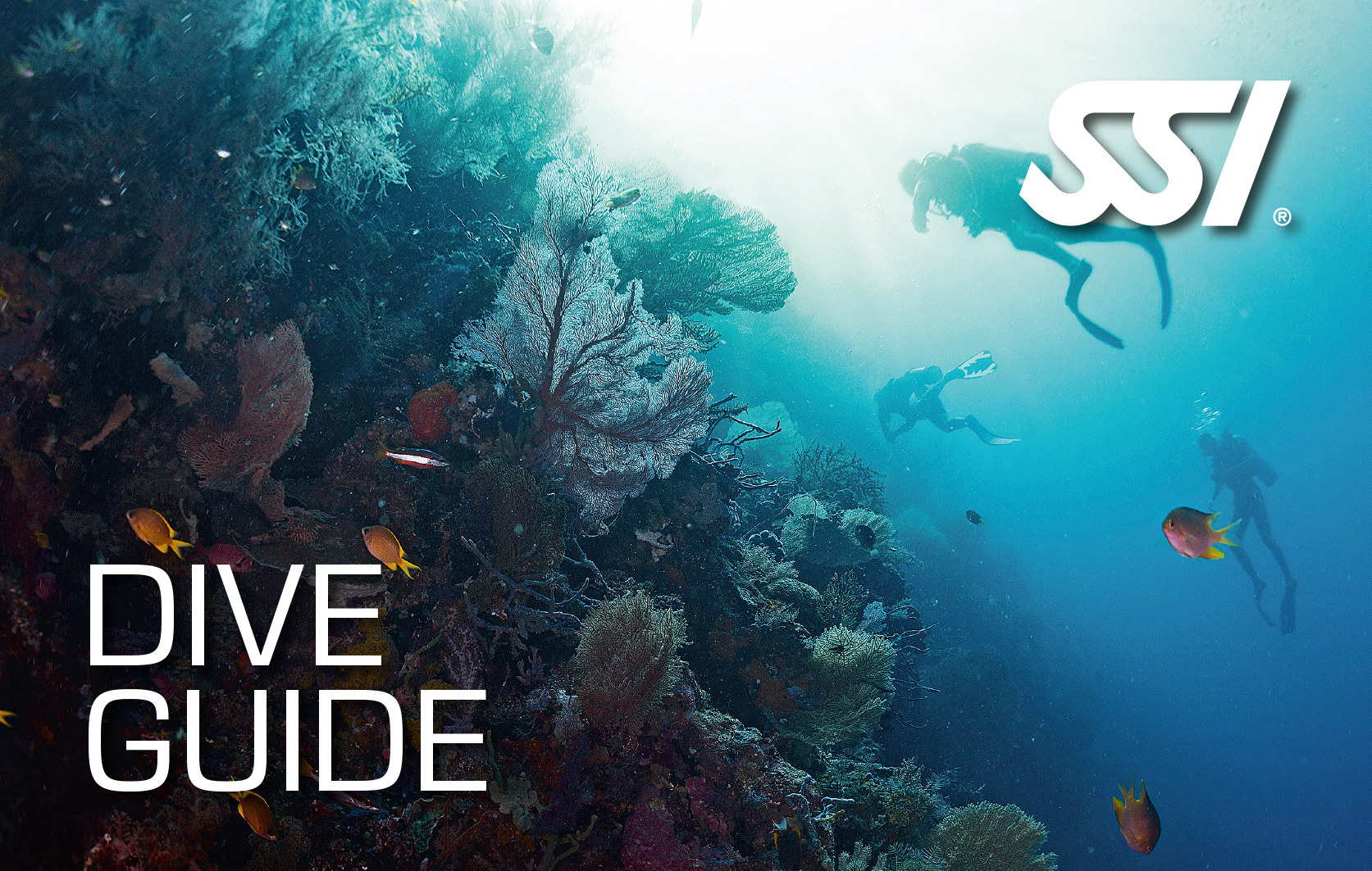 DIve guide abramar buceo